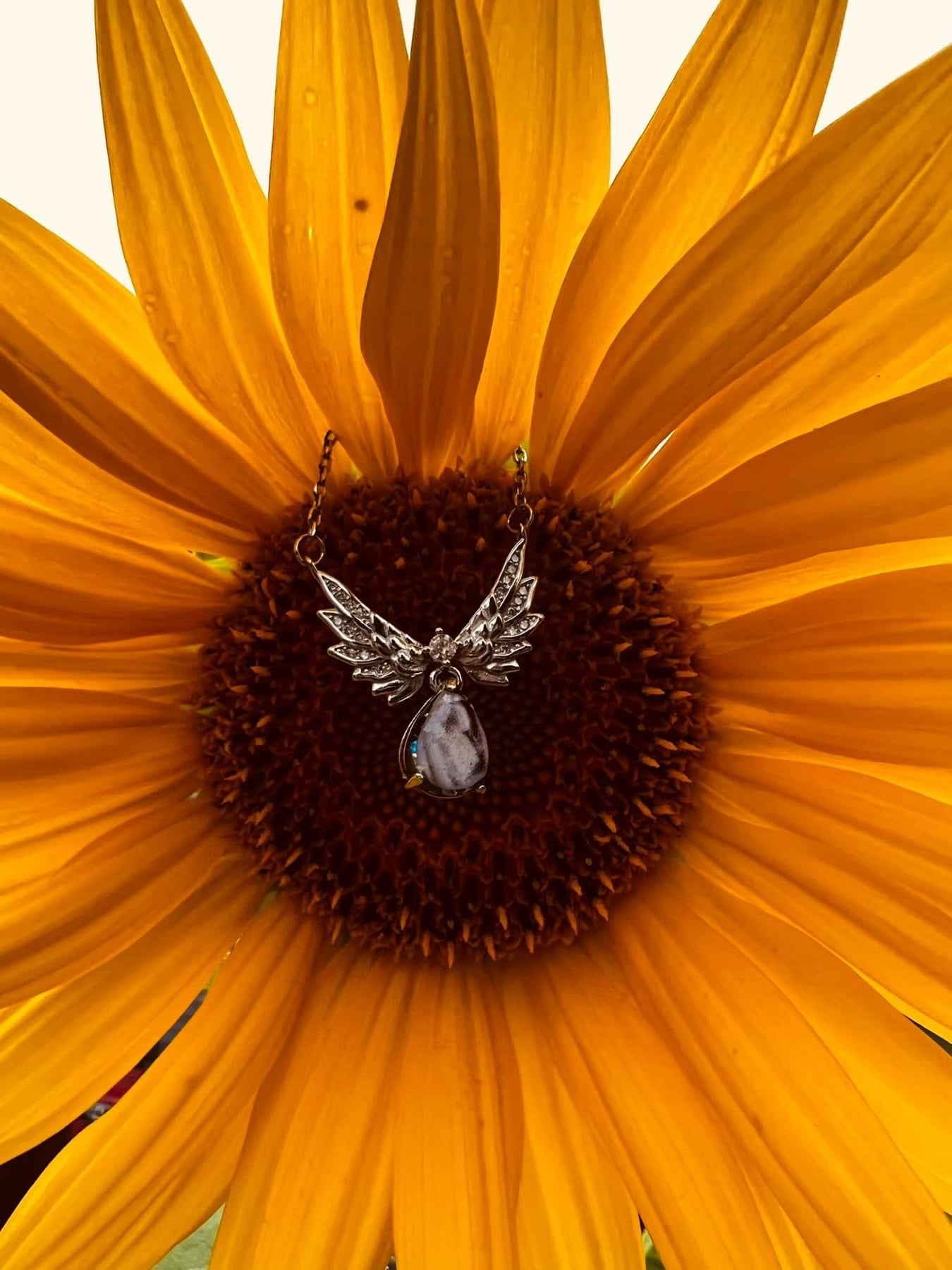 Angel Wing Necklace